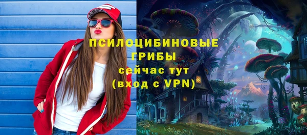 стаф Абдулино