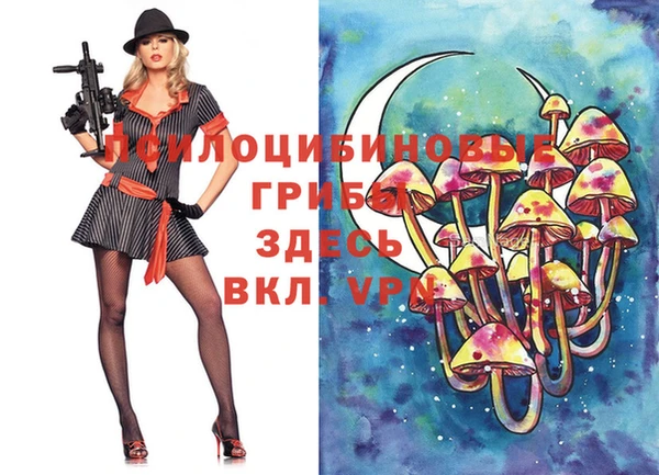 стаф Абдулино